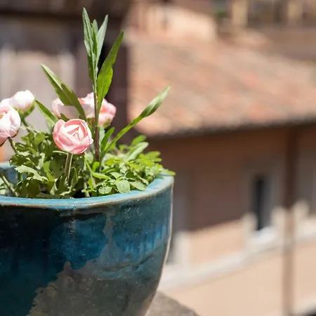 Loft Campo De Fiori